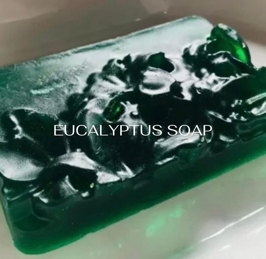 Eucalyptus